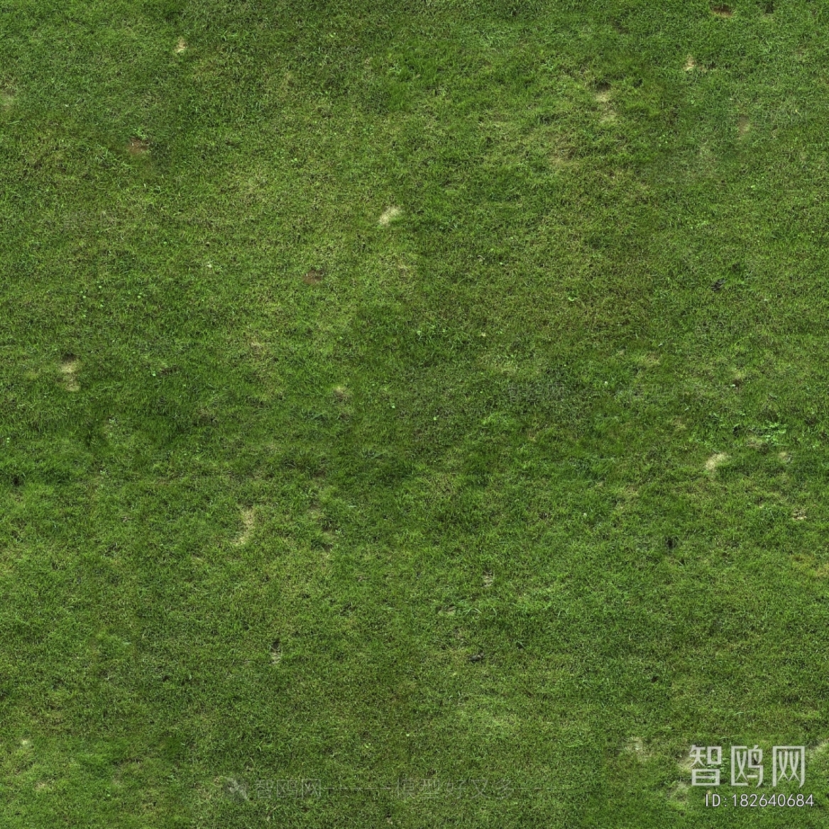 Grass
