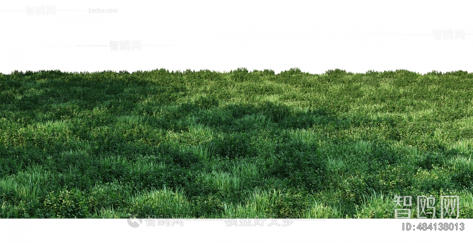 Grass