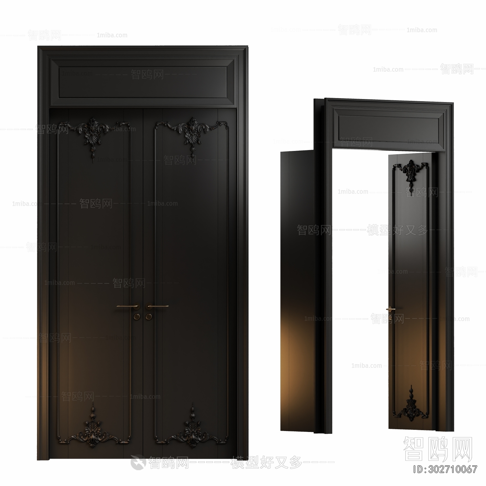 Modern Entrance Door