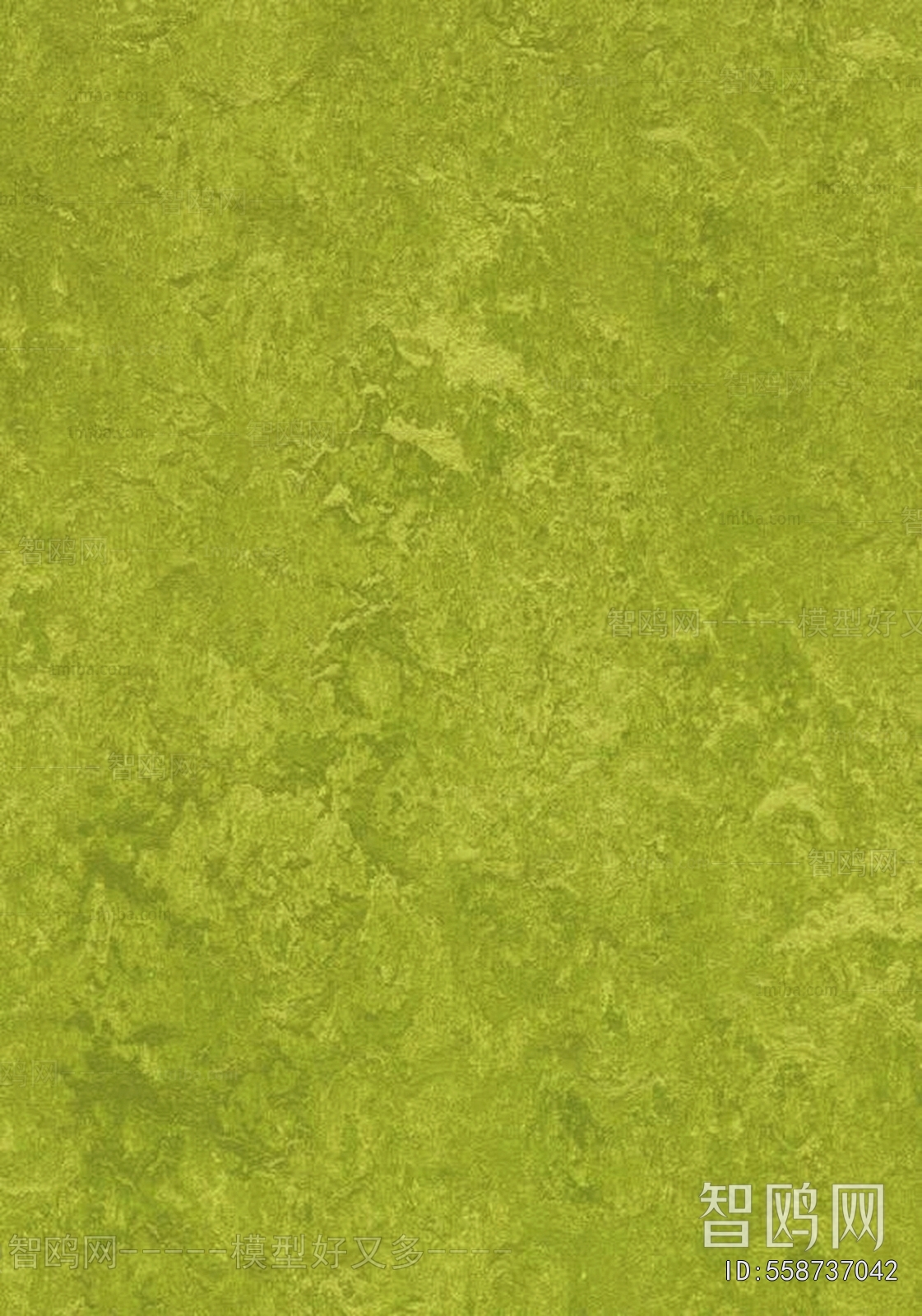Grass