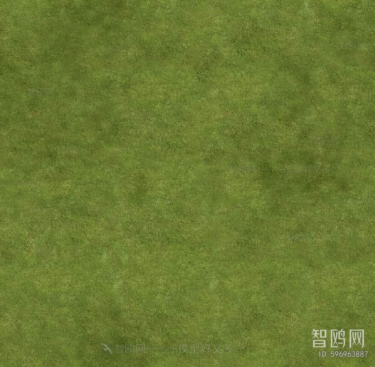 Grass