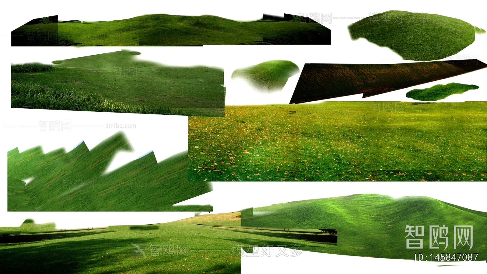 Grass