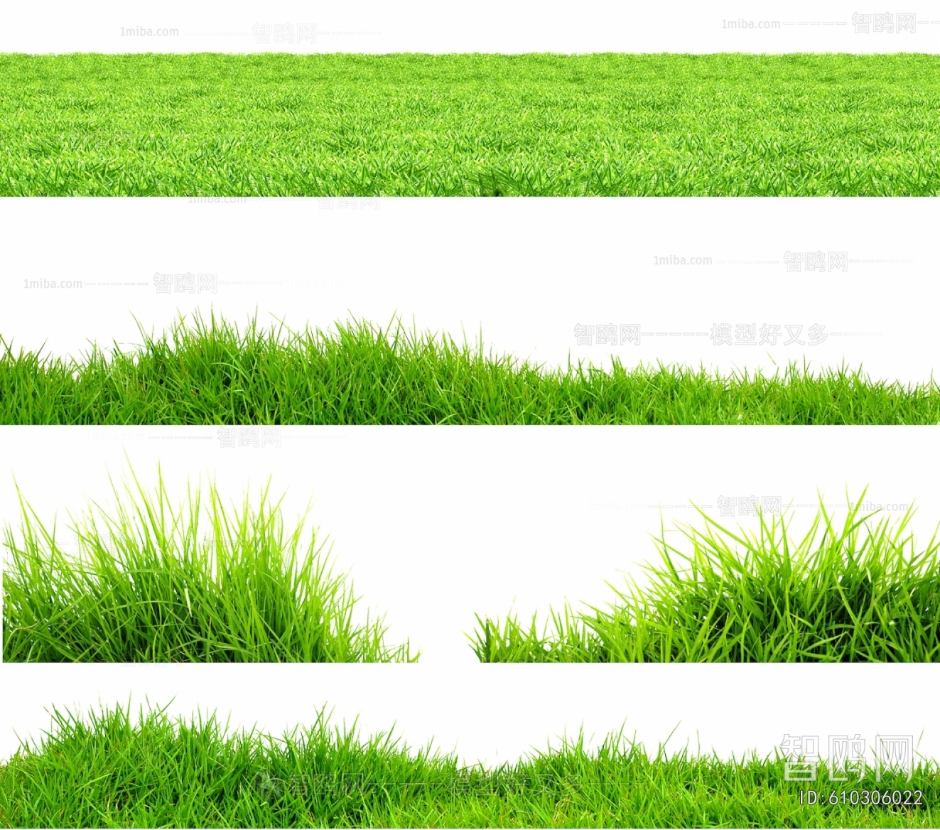Grass
