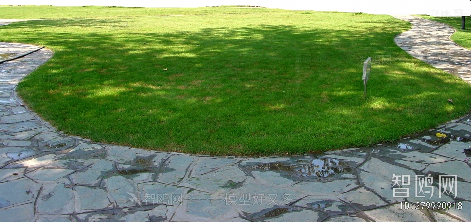 Grass