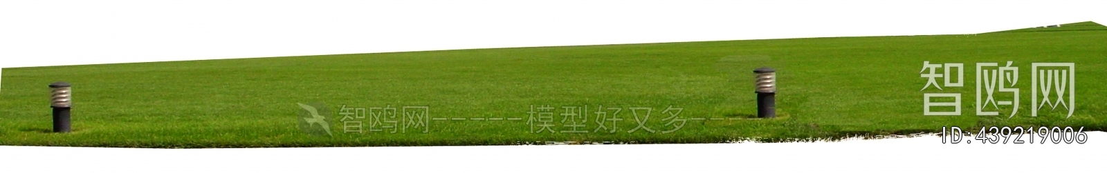 Grass