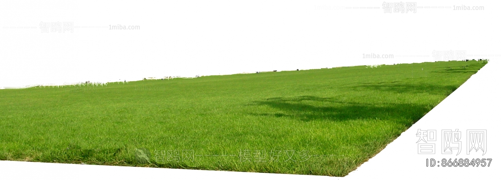Grass