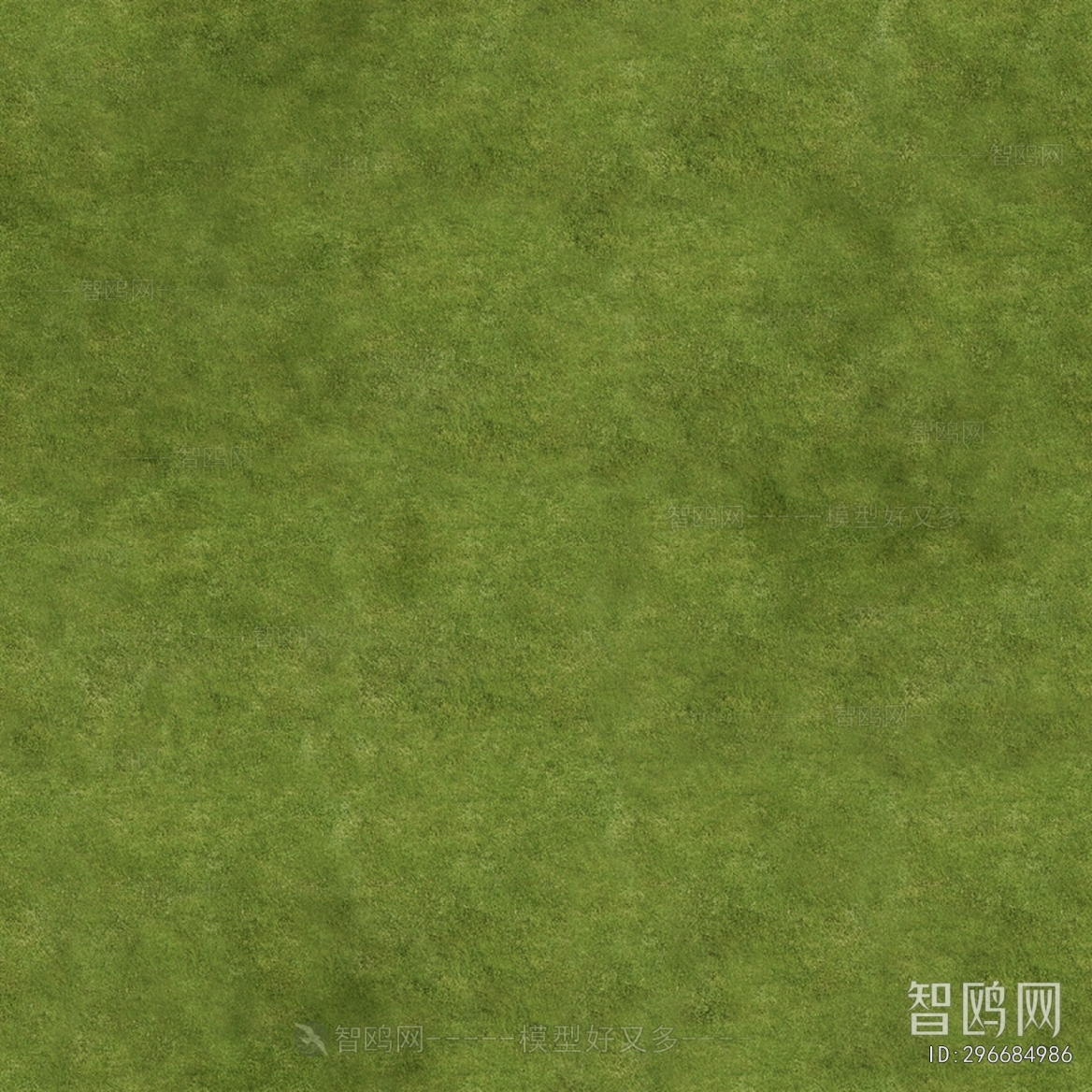 Grass
