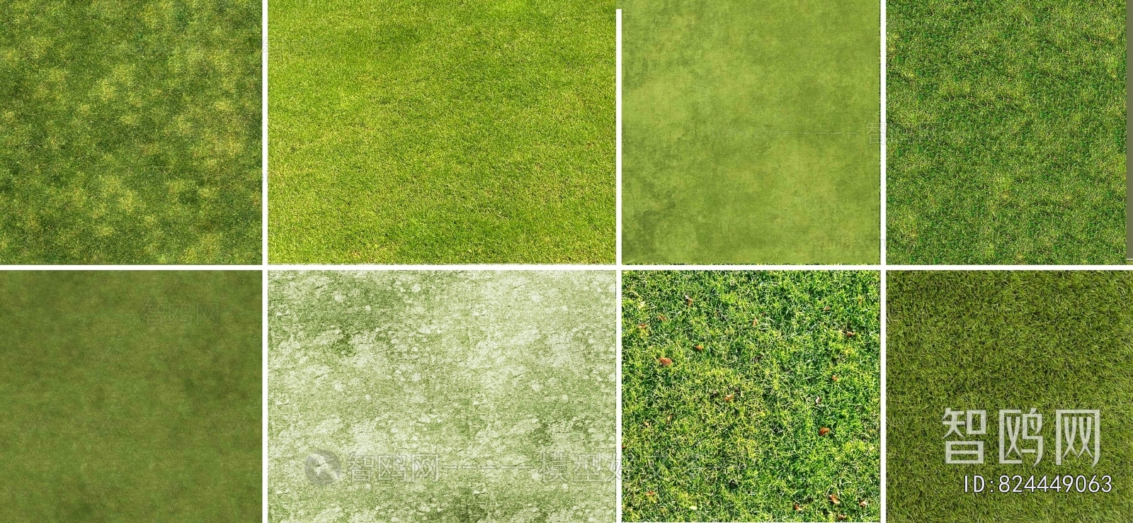 Grass