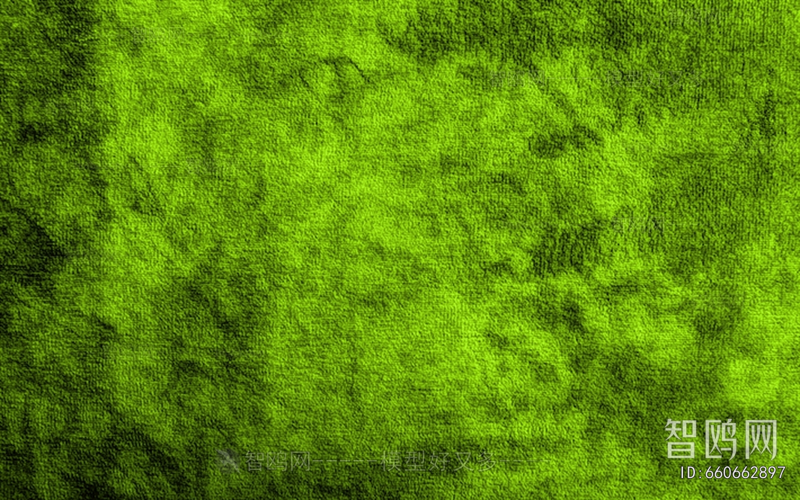 Grass
