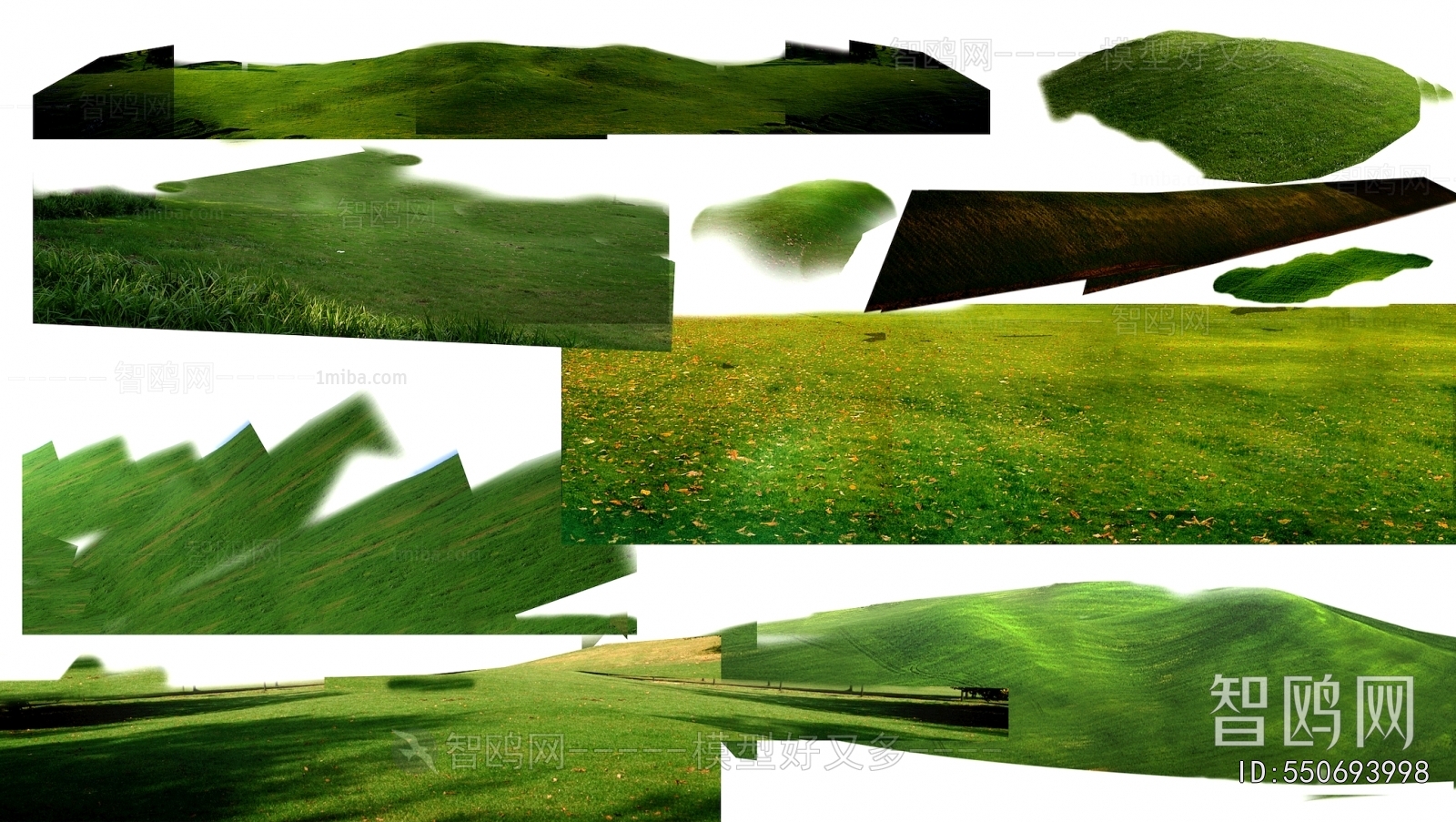 Grass