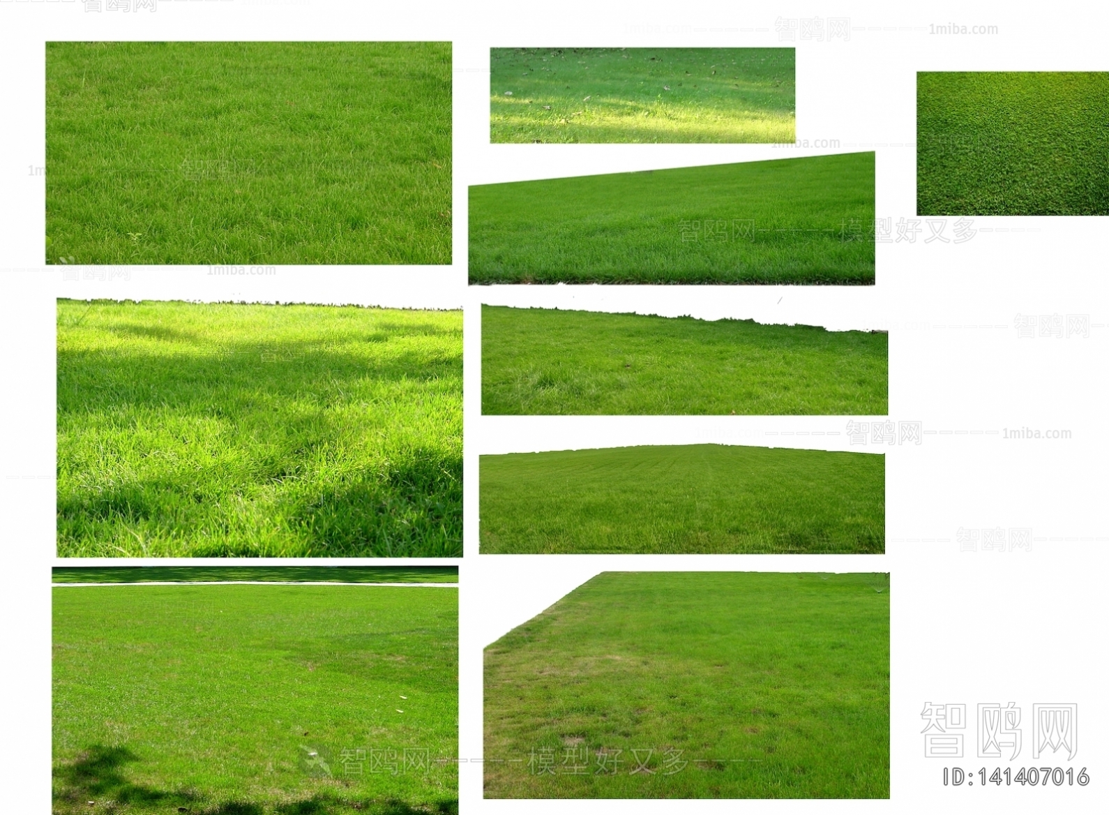Grass