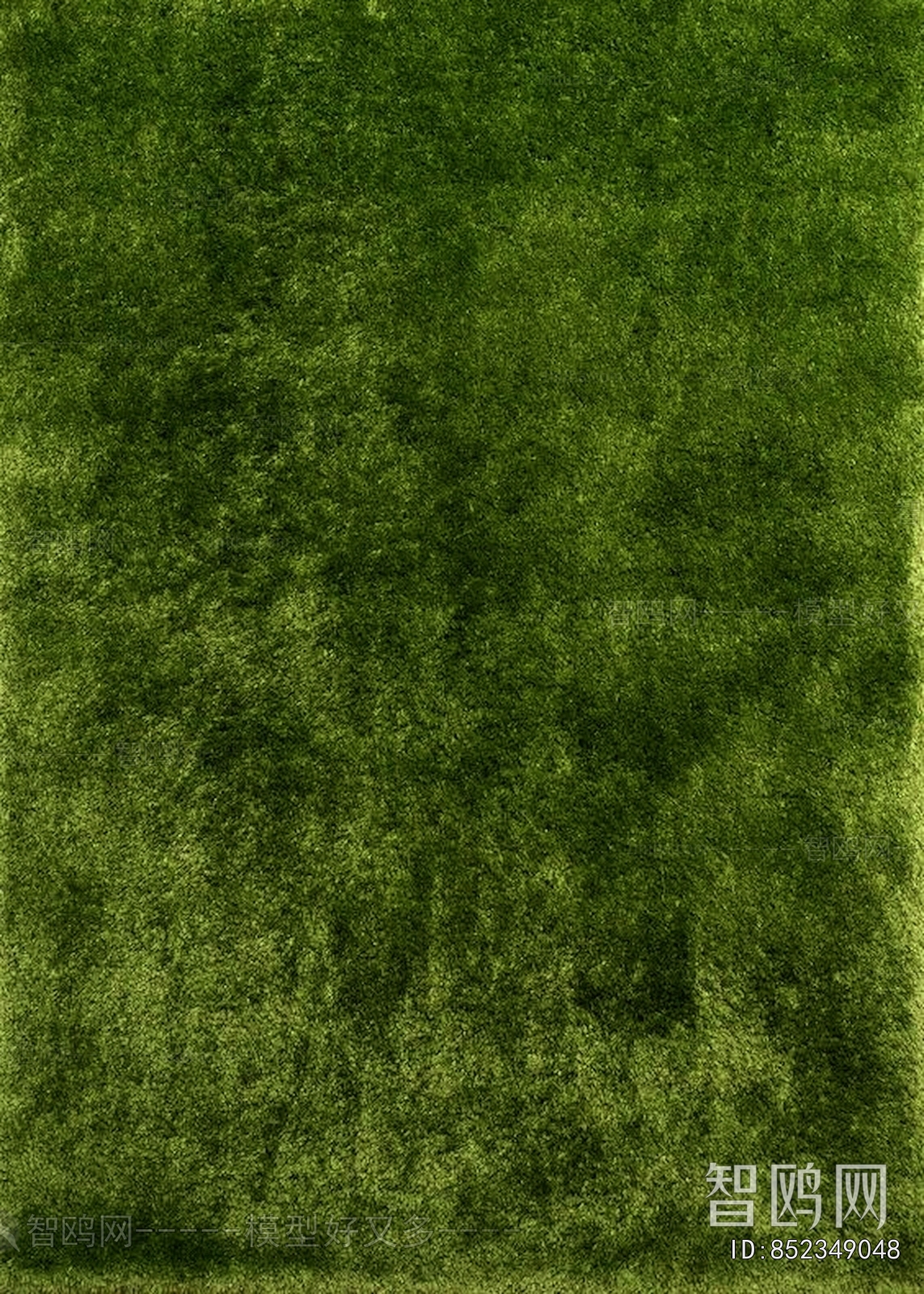 Grass