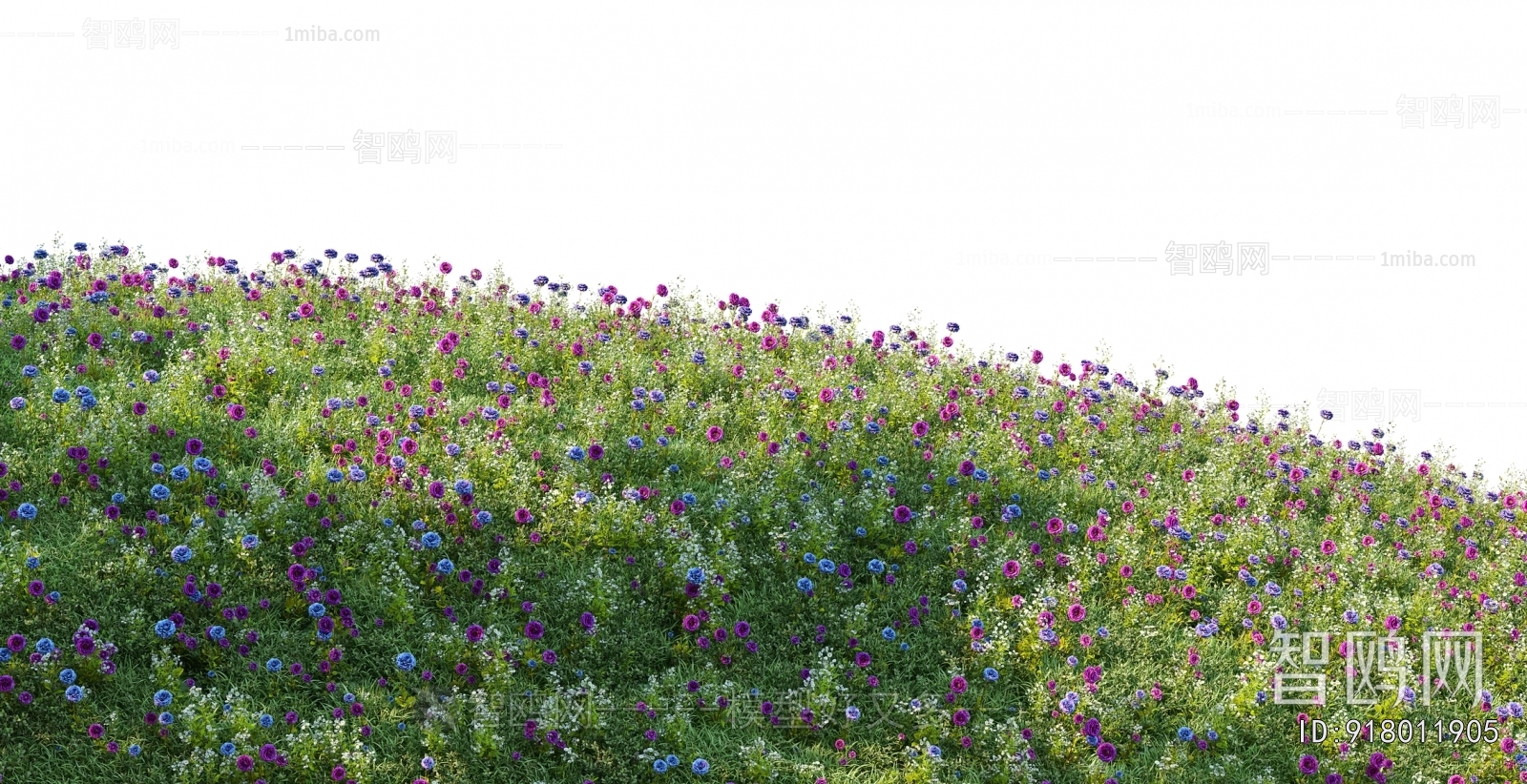 Grass