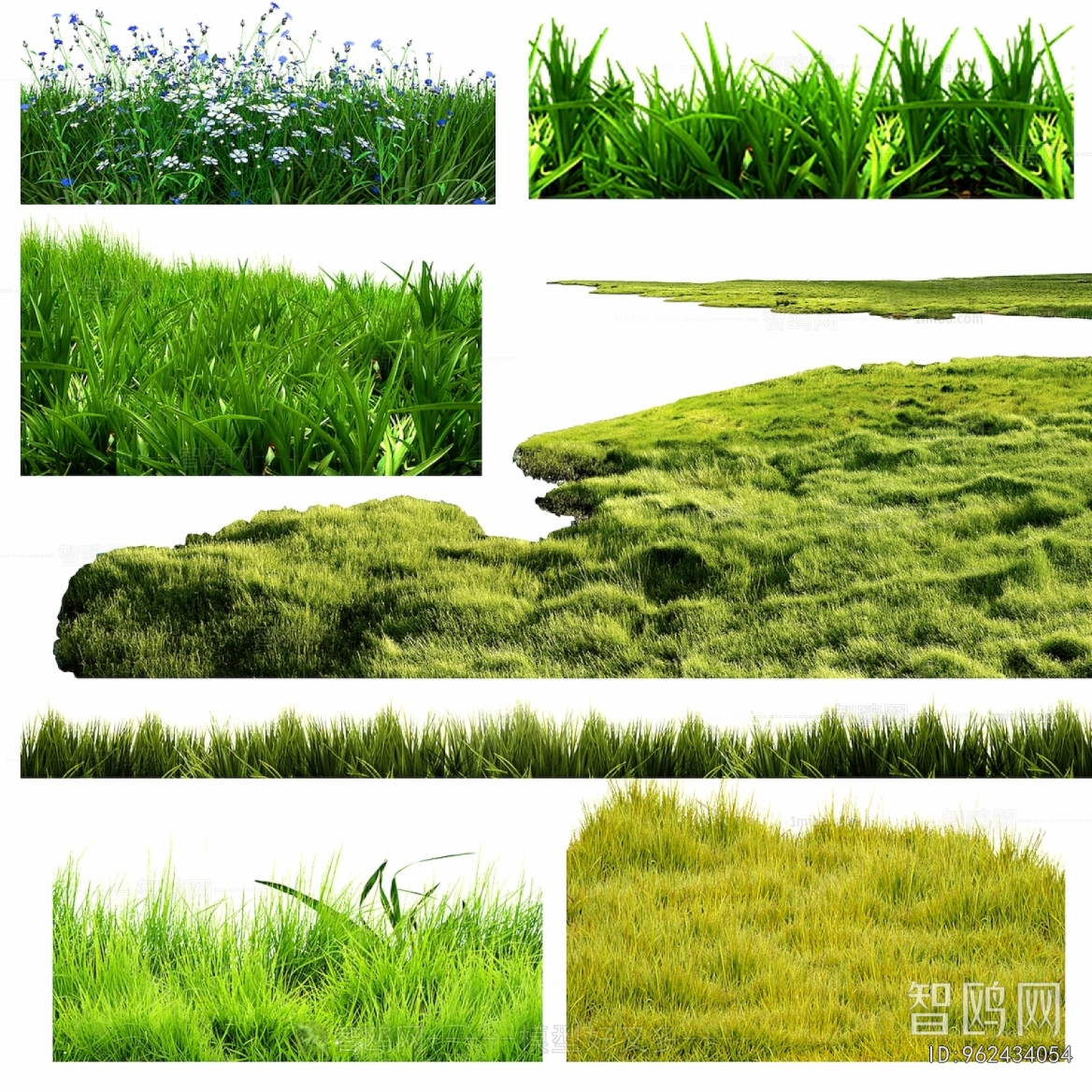 Grass