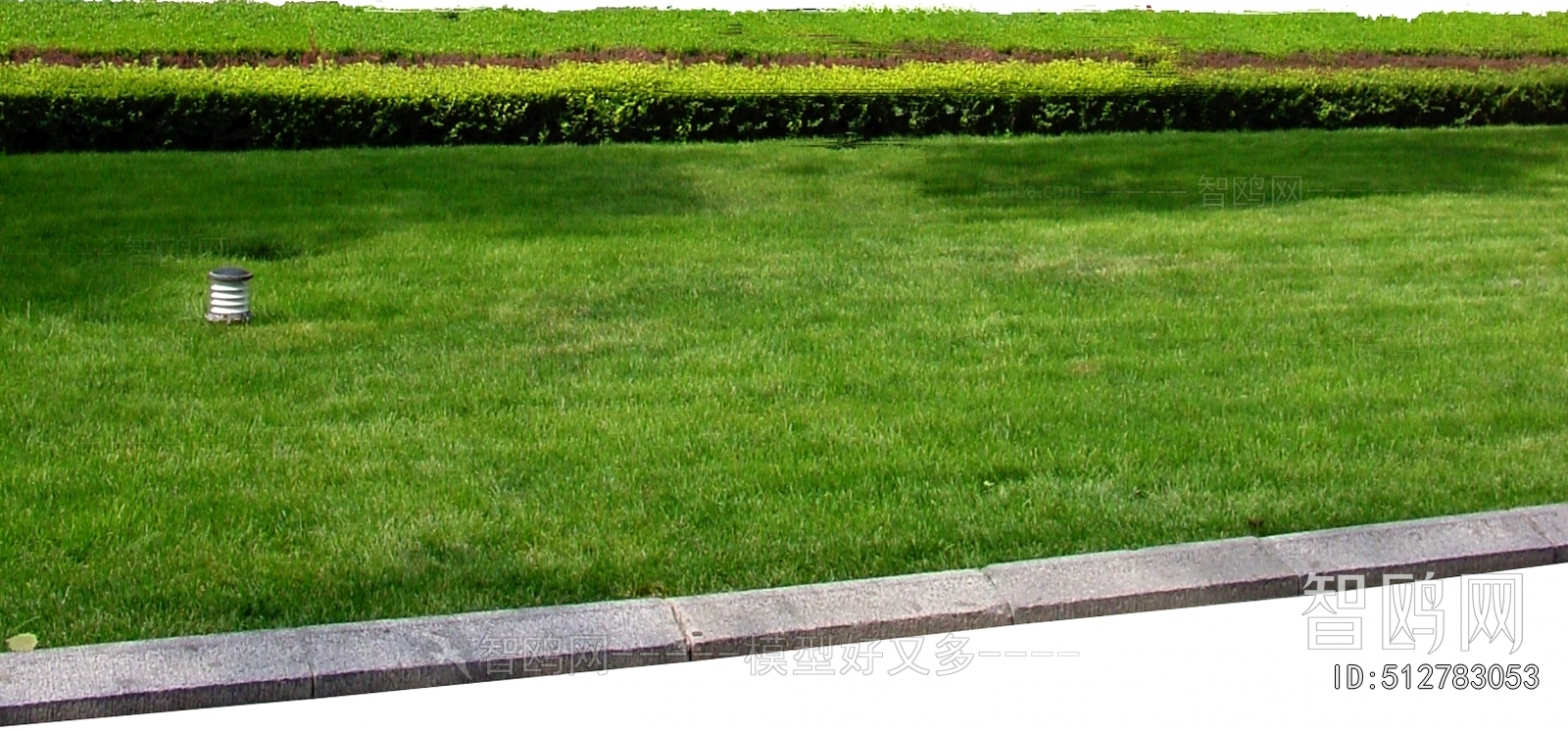 Grass
