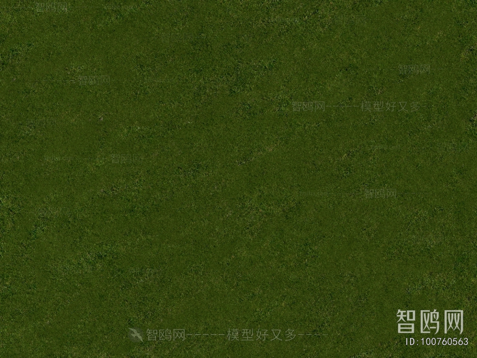 Grass