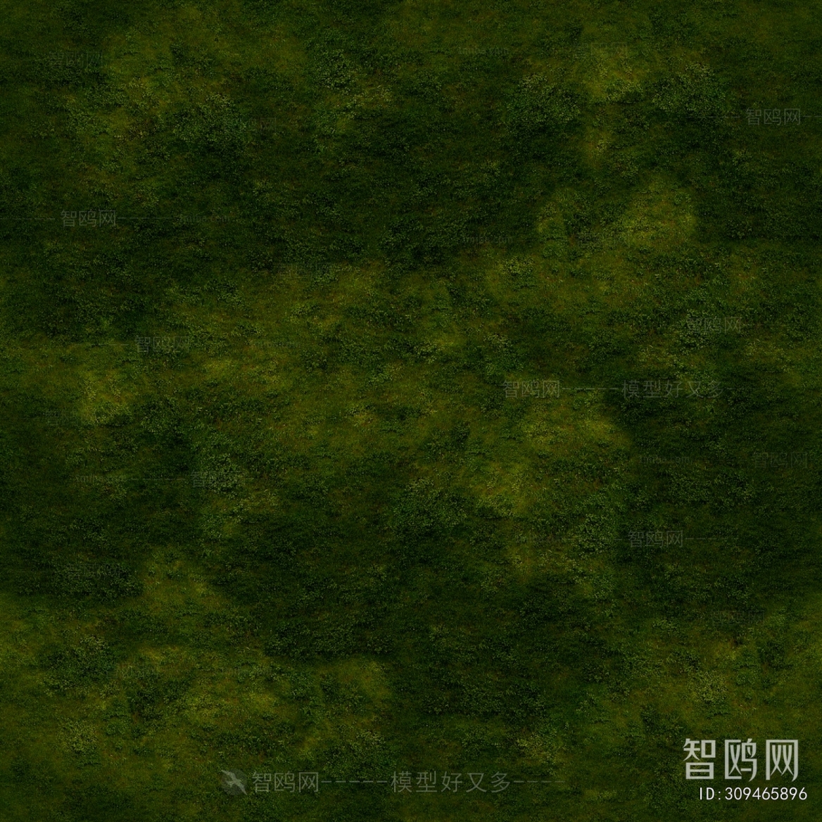 Grass