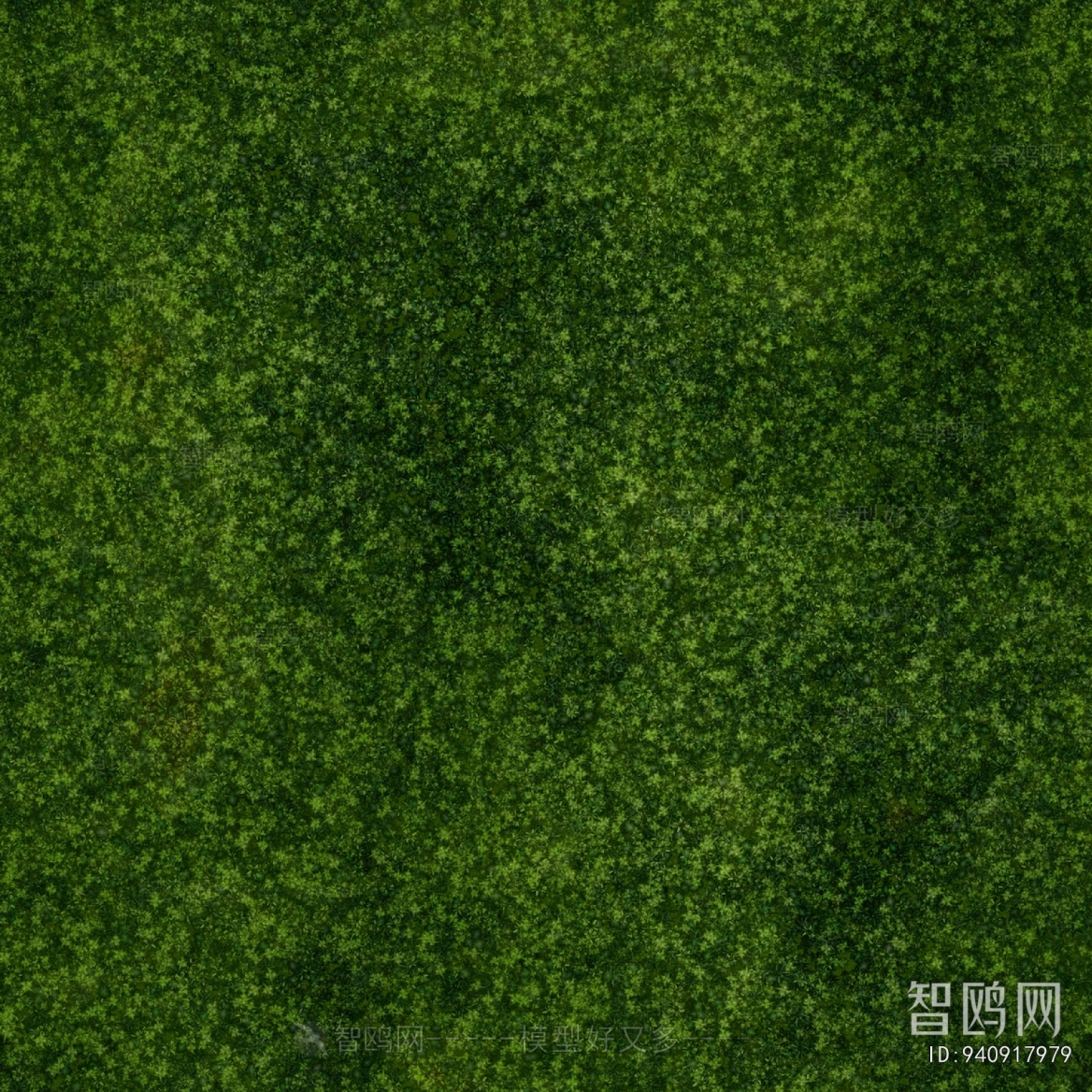 Grass