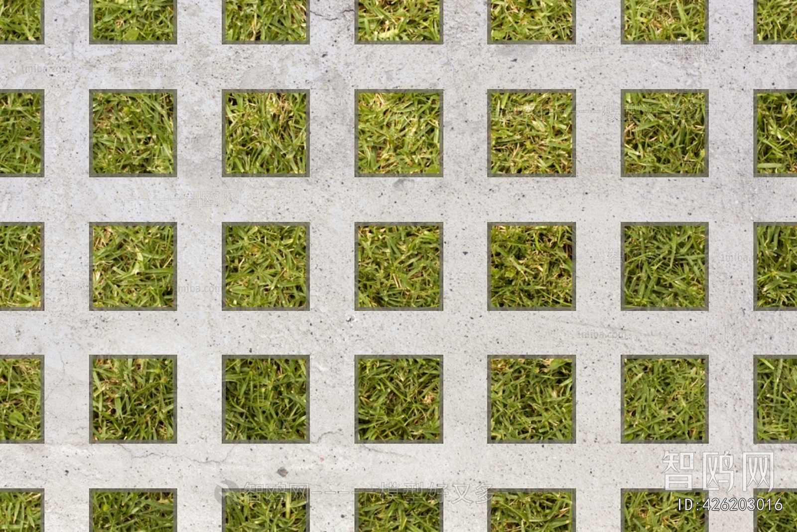 Grass