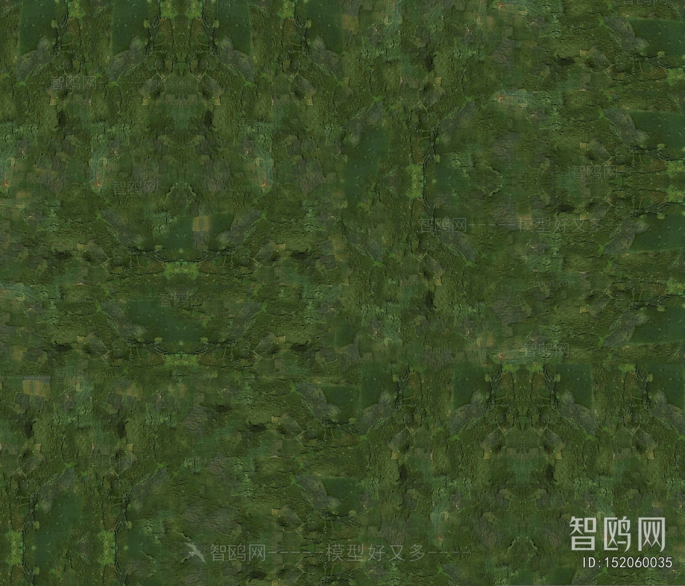 Grass