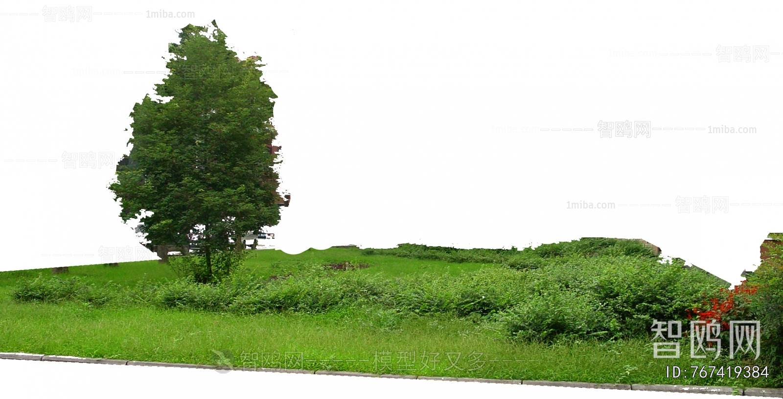 Grass