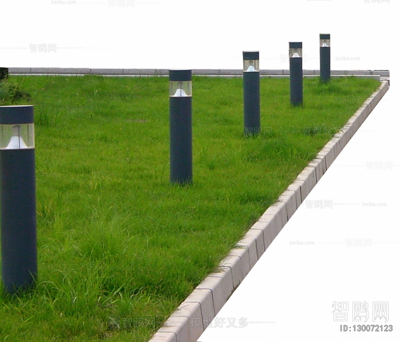 Grass