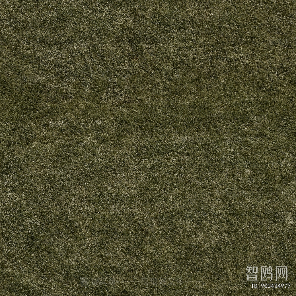 Grass