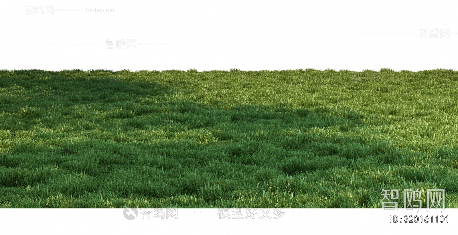 Grass