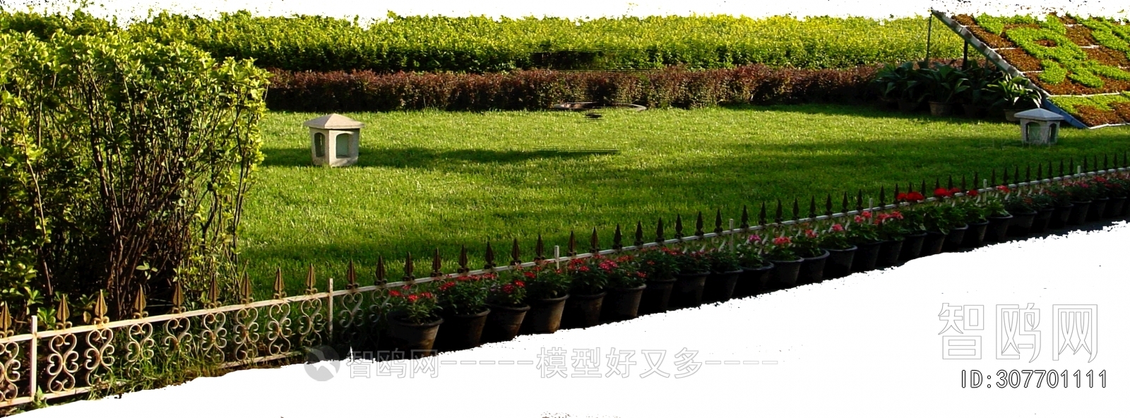 Grass