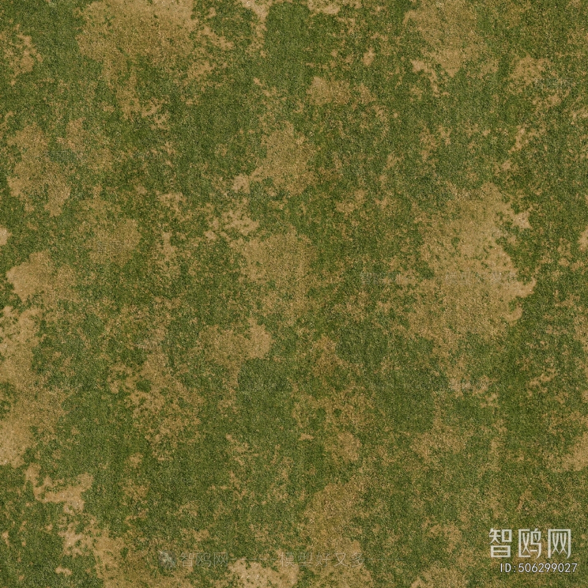 Grass