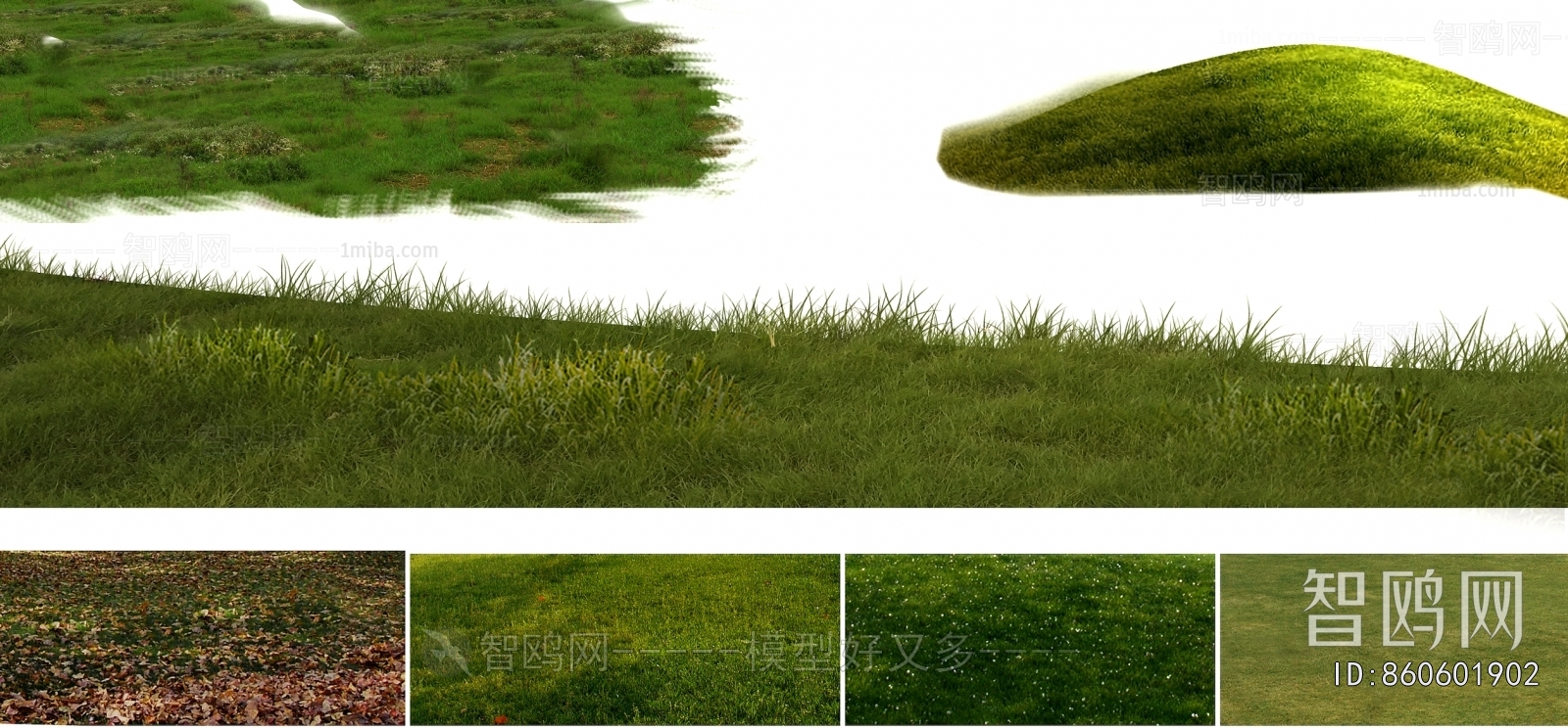 Grass