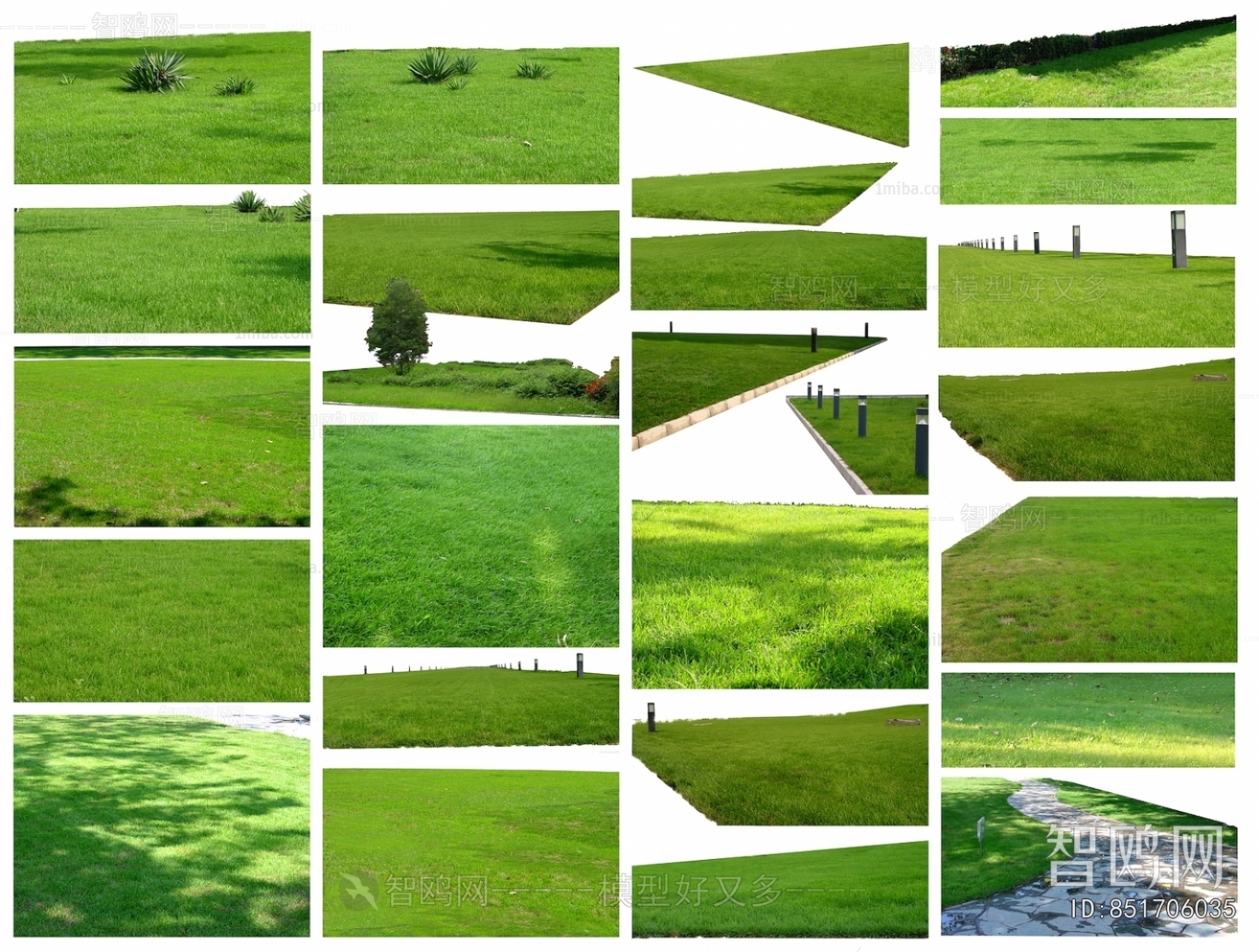Grass
