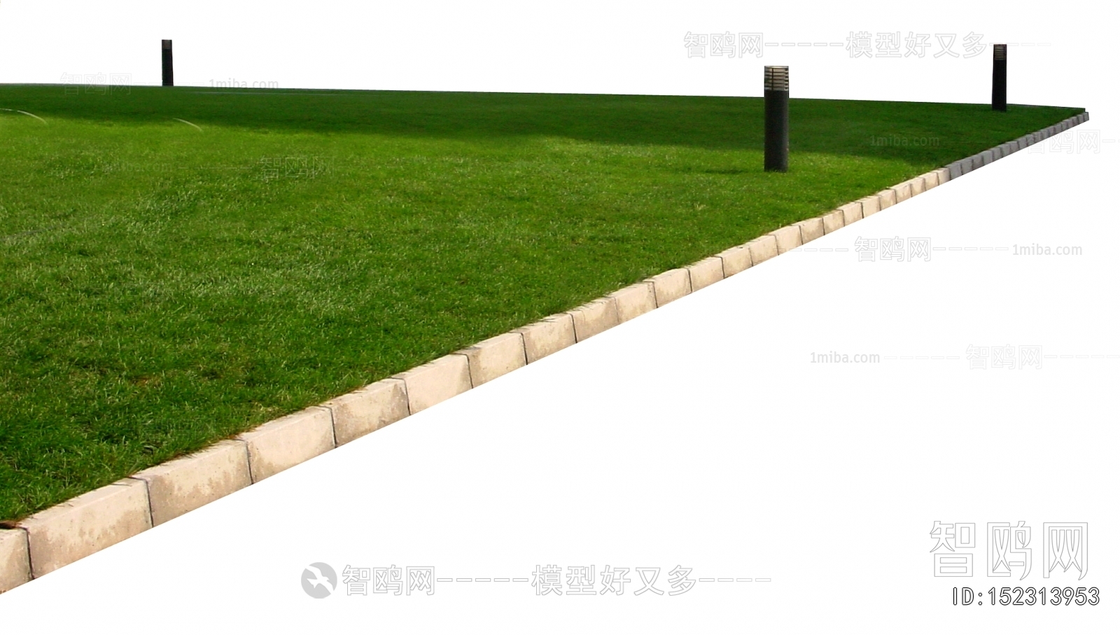 Grass