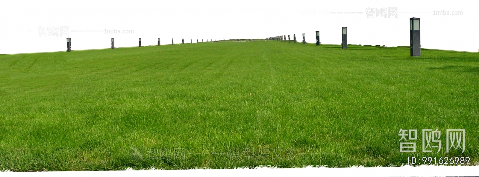 Grass