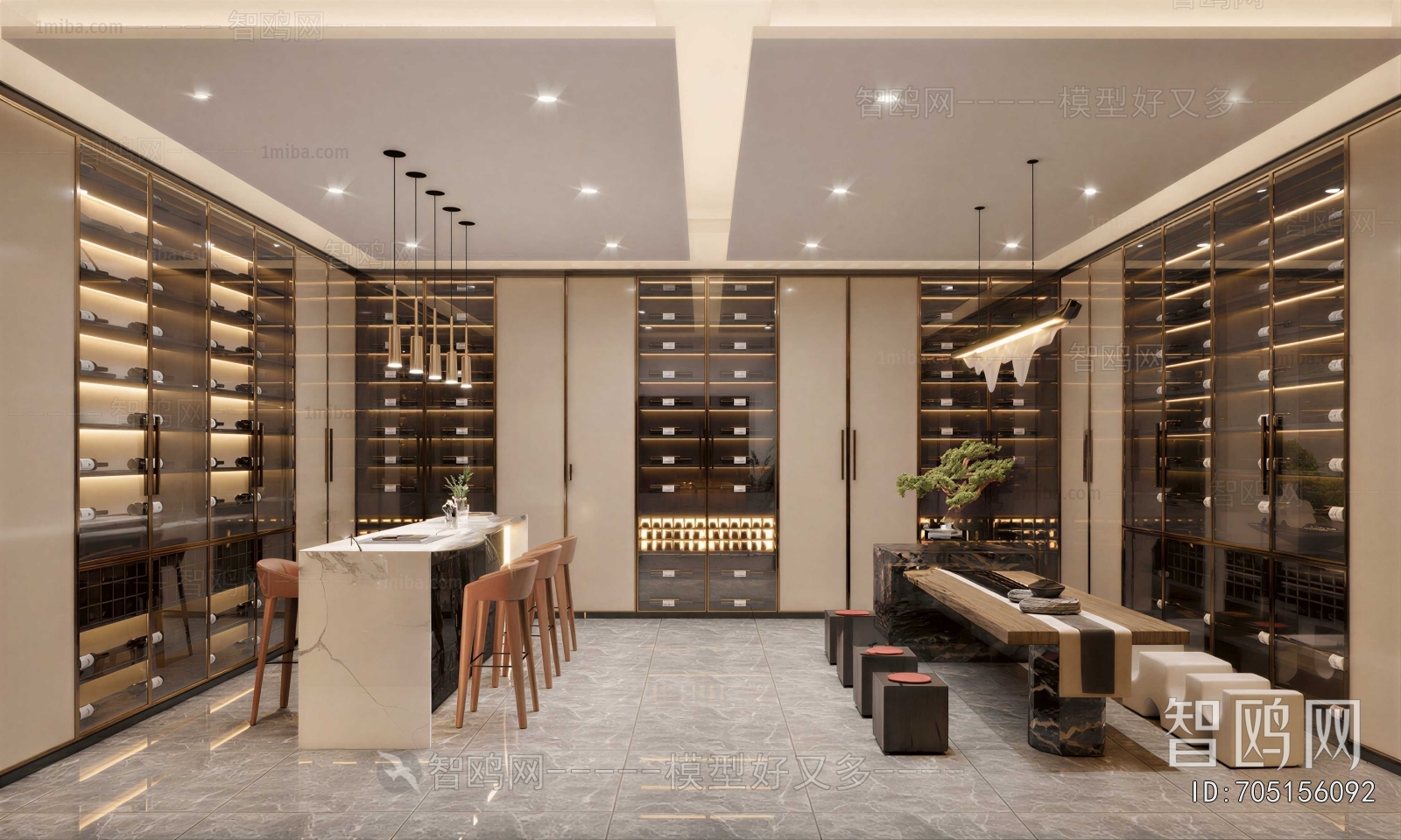 Modern Wine Cellar/Wine Tasting Room