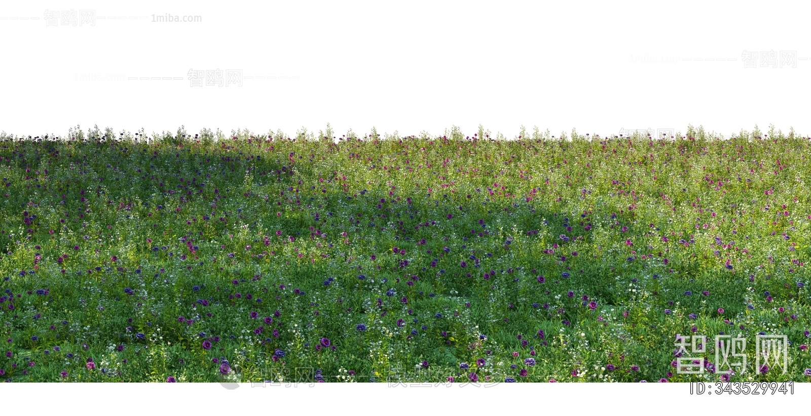 Grass