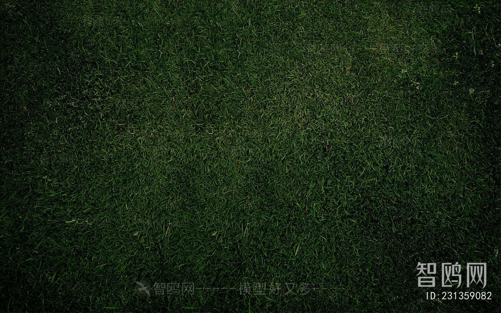 Grass