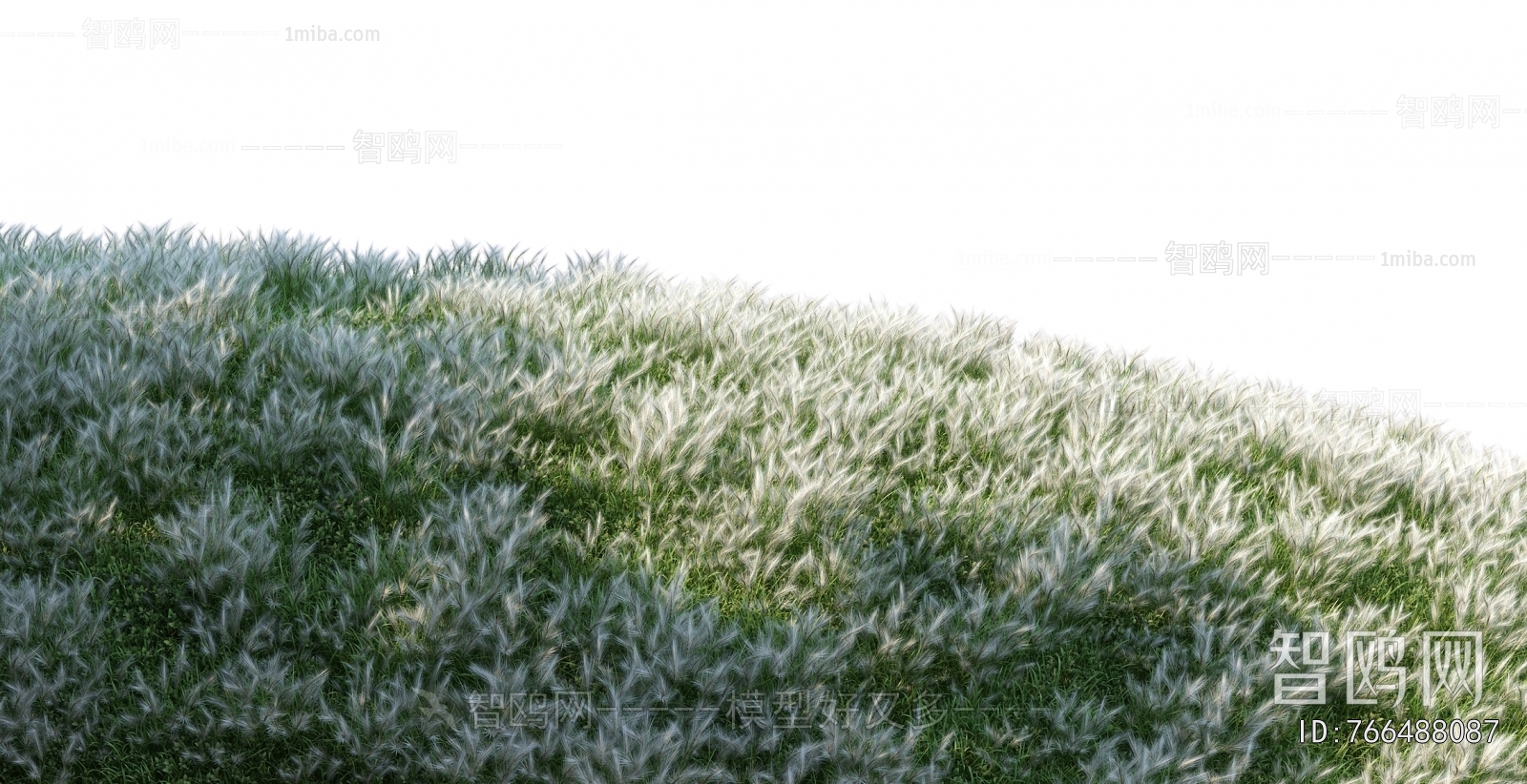 Grass
