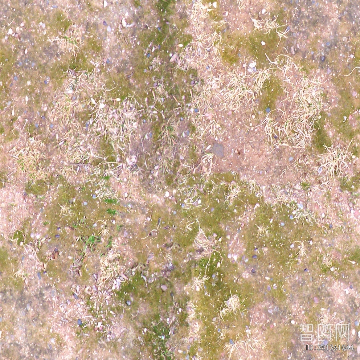 Grass