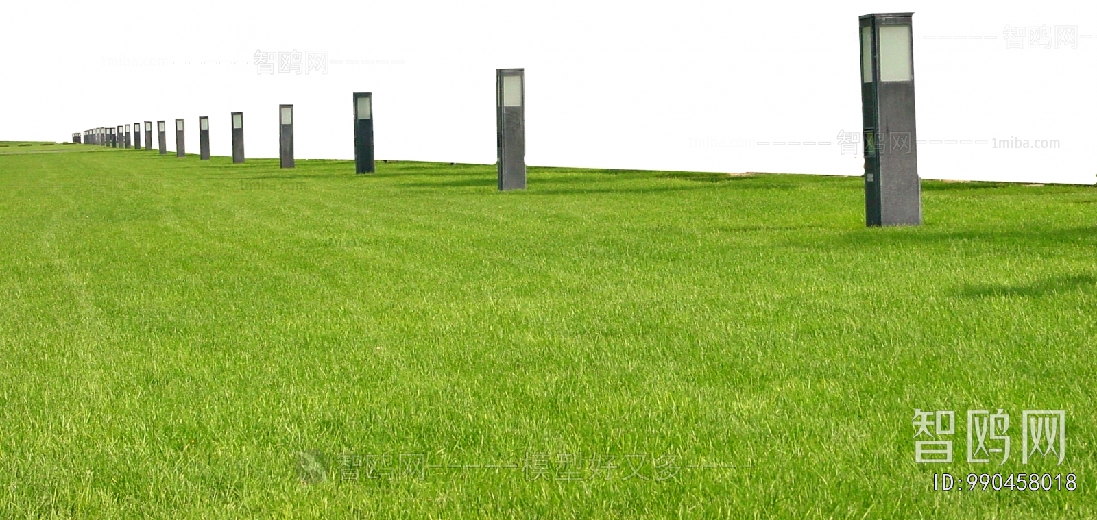 Grass