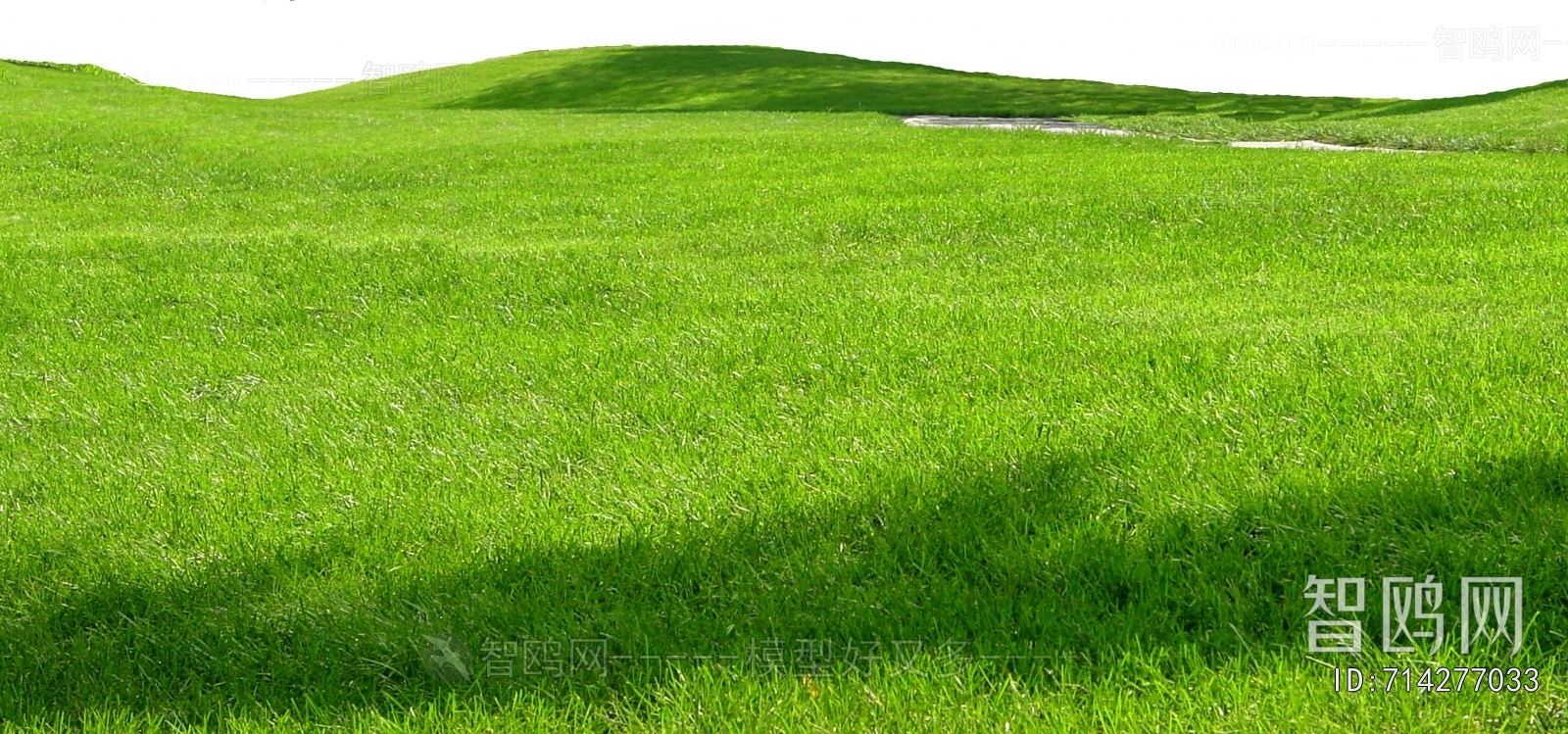 Grass