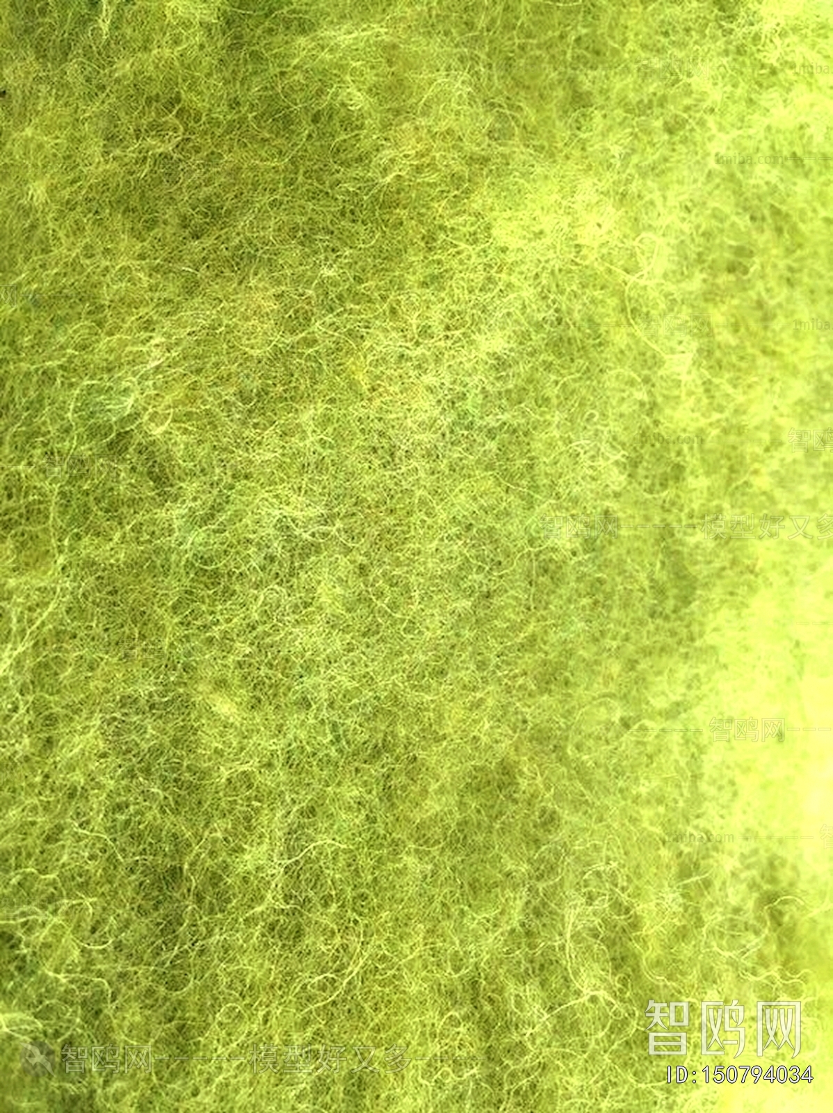 Grass