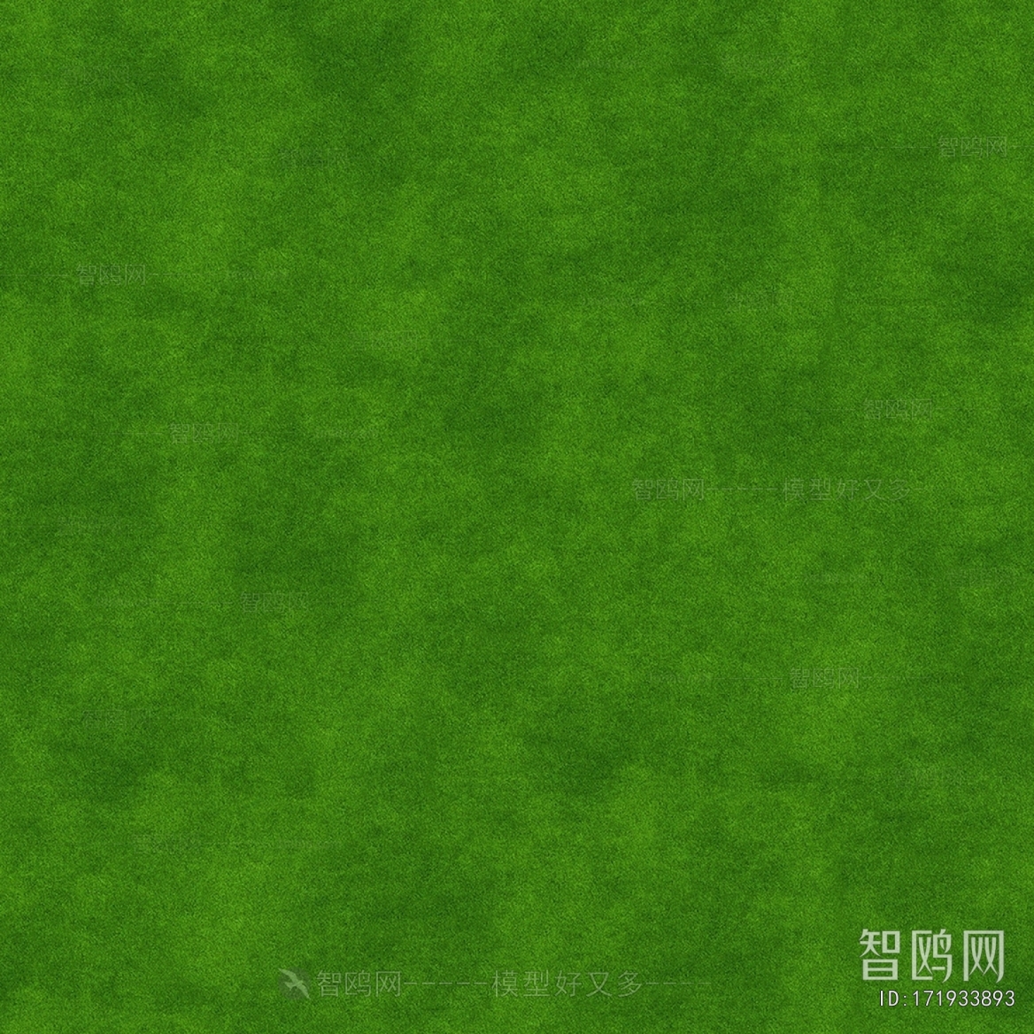 Grass