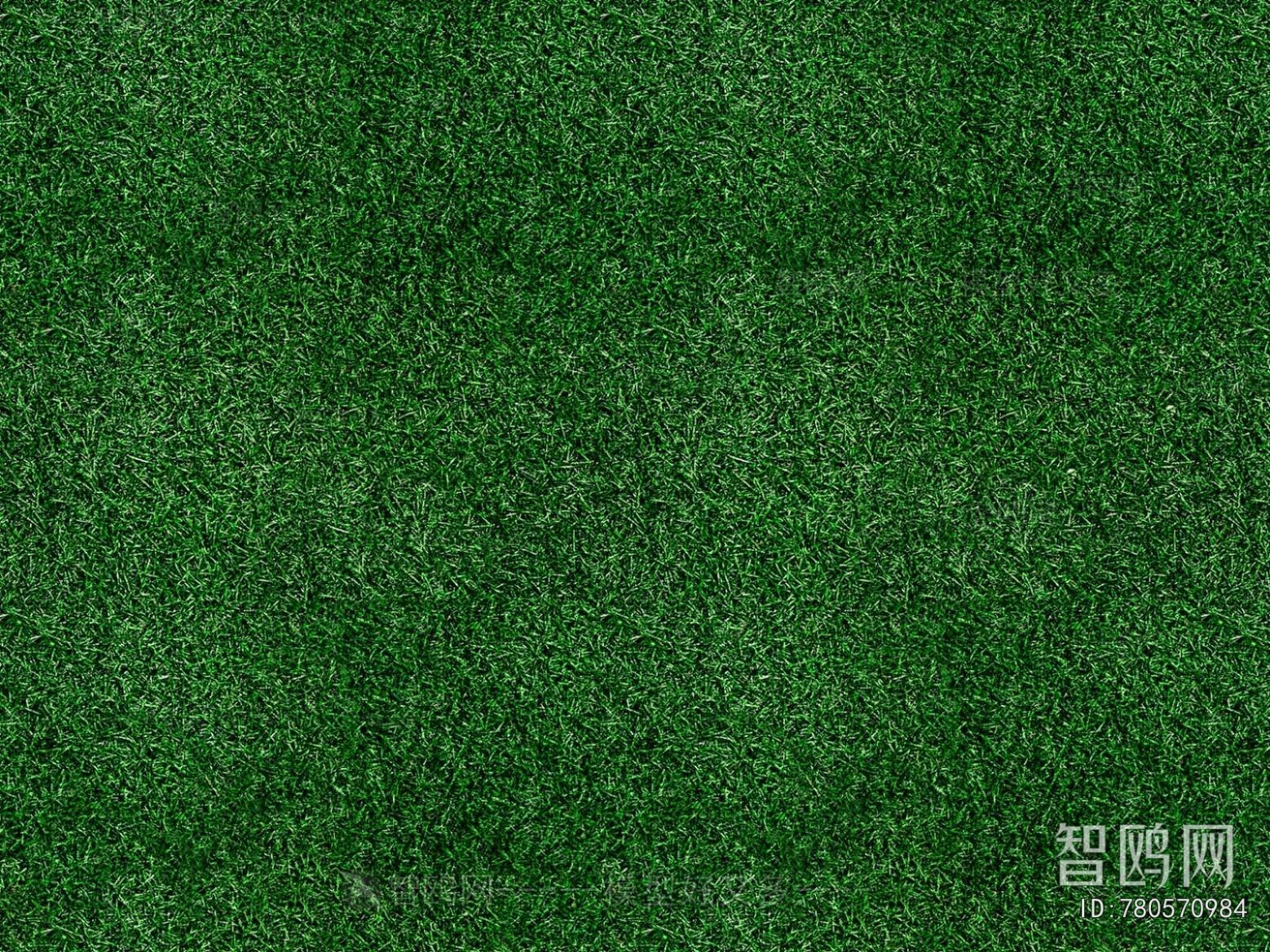 Grass