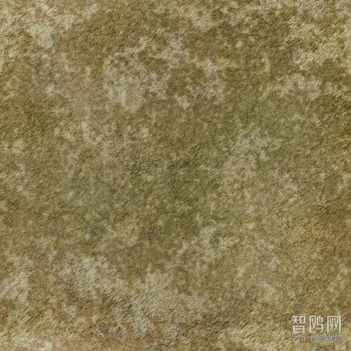 Grass