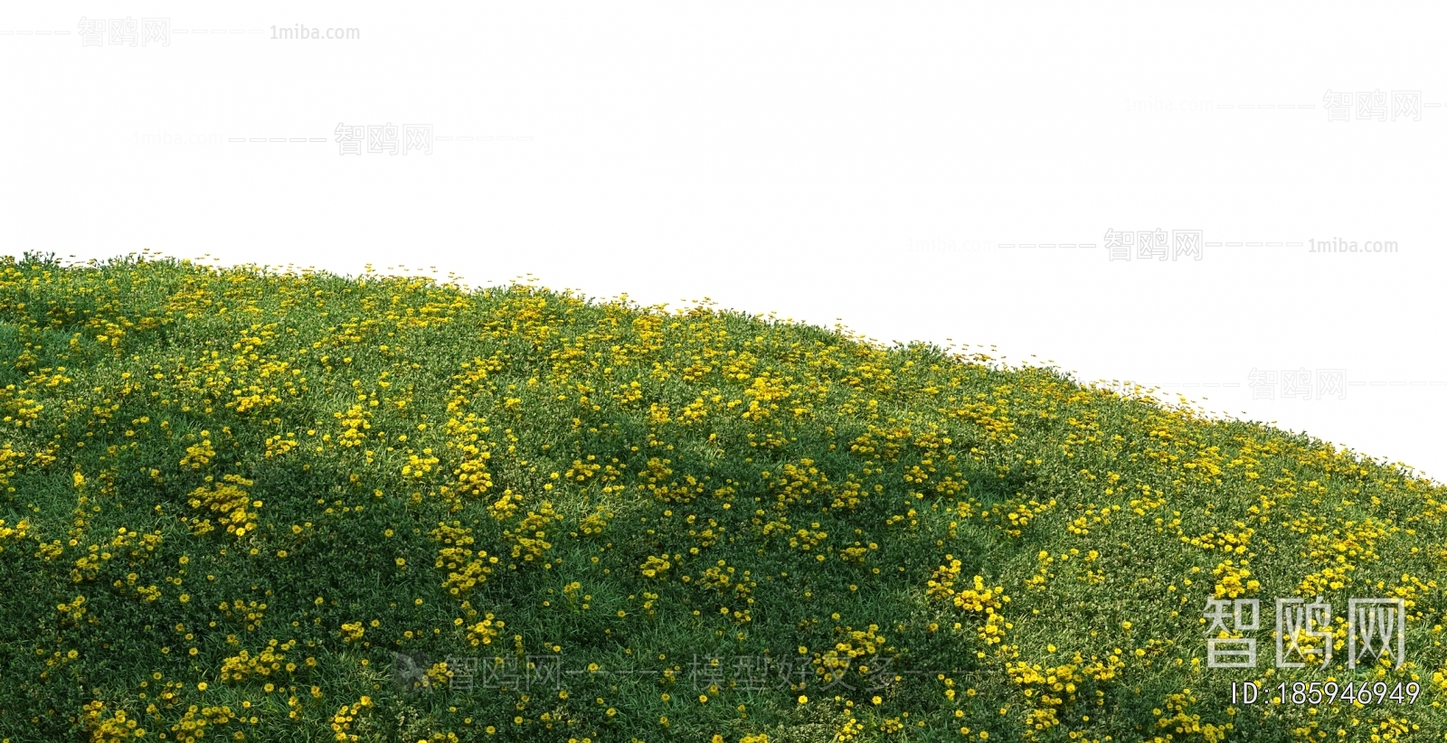 Grass