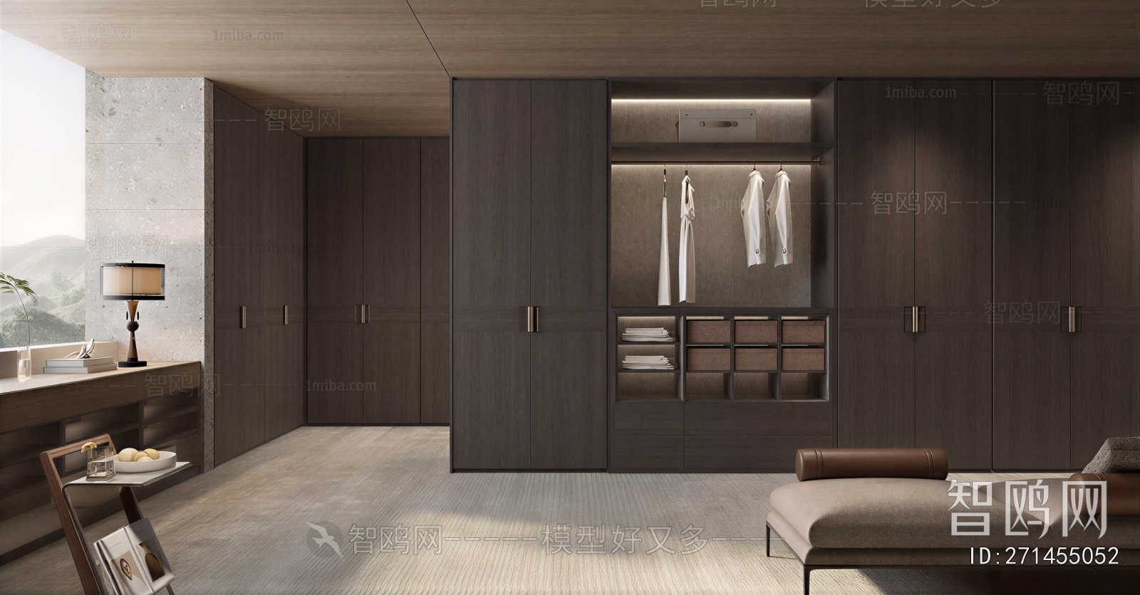 Modern Clothes Storage Area