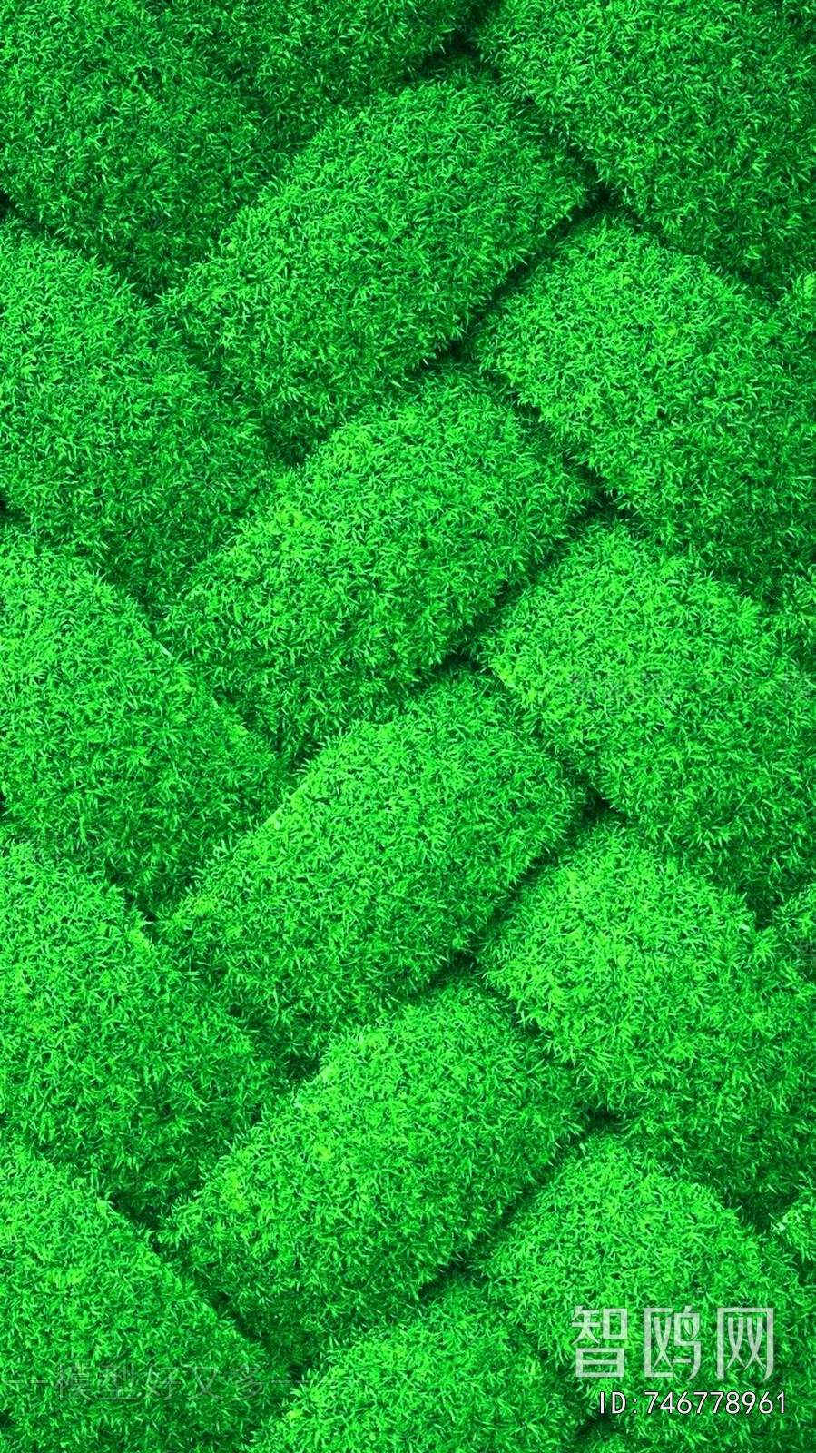 Grass