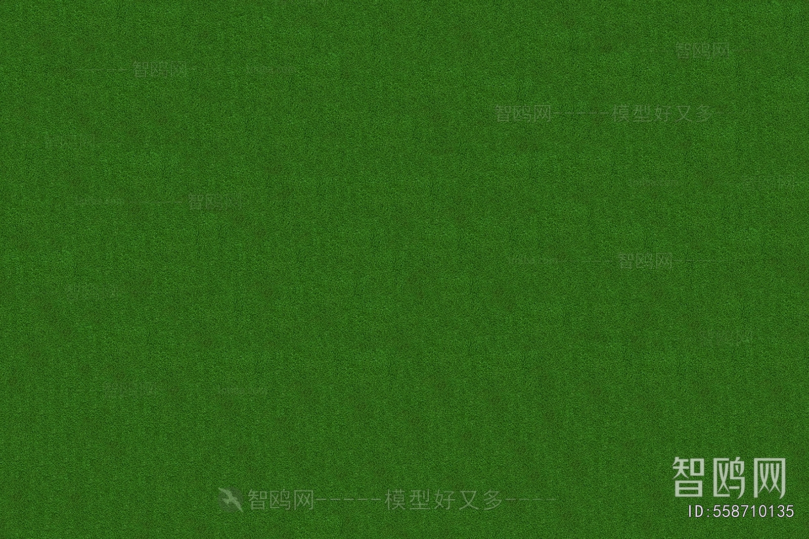 Grass