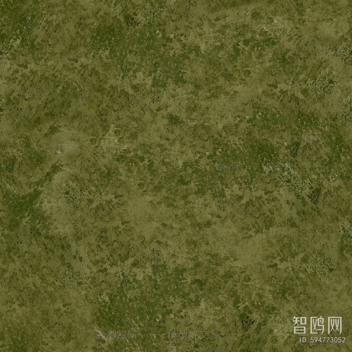 Grass